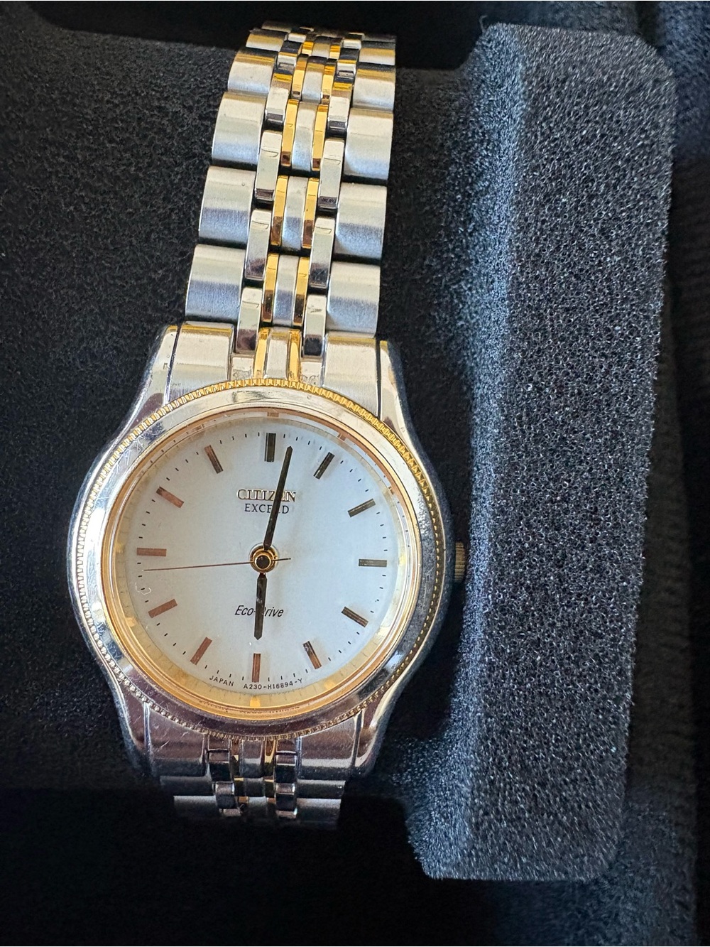 Citizen Two-Tone Watch with White Dial